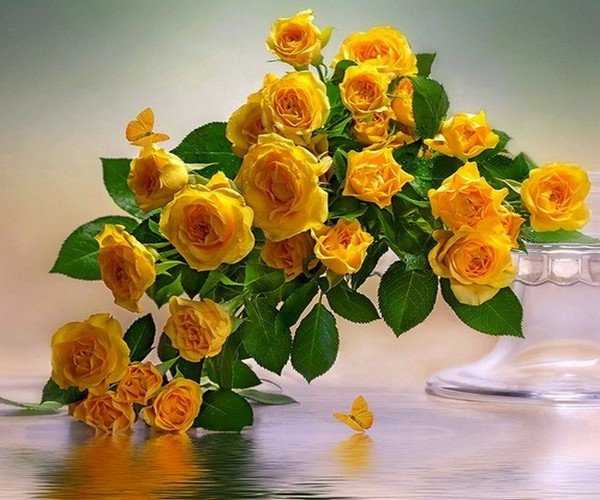 Лукас желтые розы