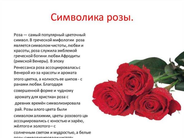 Что означают розы на языке цветов