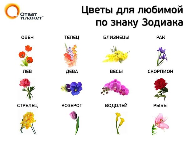 Растения и цветы по знаку зодиака