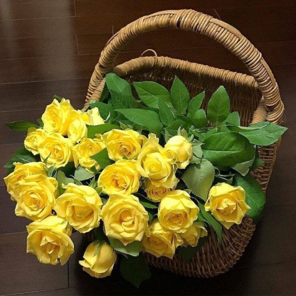 Желтые розы в подарок женщине