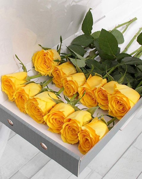 Ящик с желтыми розами