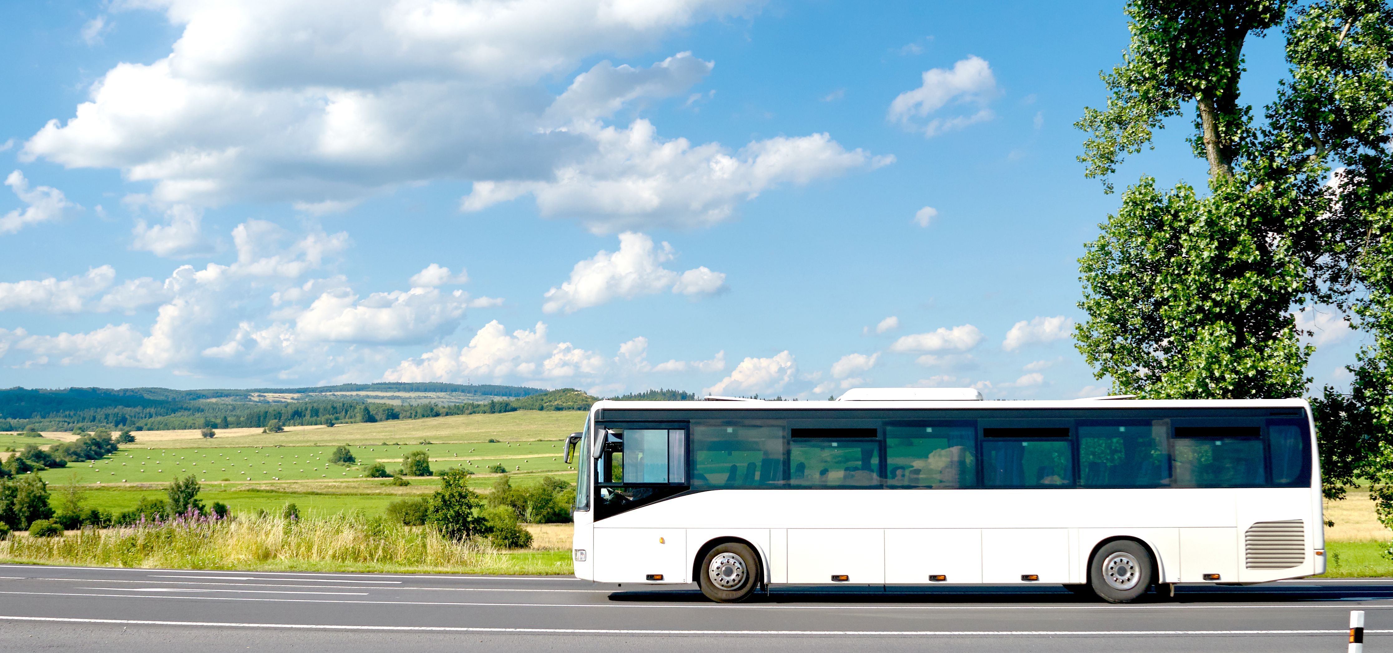 Avtobus. Автобус. Автобус на дороге. Автобус фото. Автобус фон.
