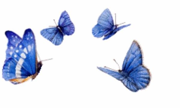 Летающие бабочки на прозрачном фоне