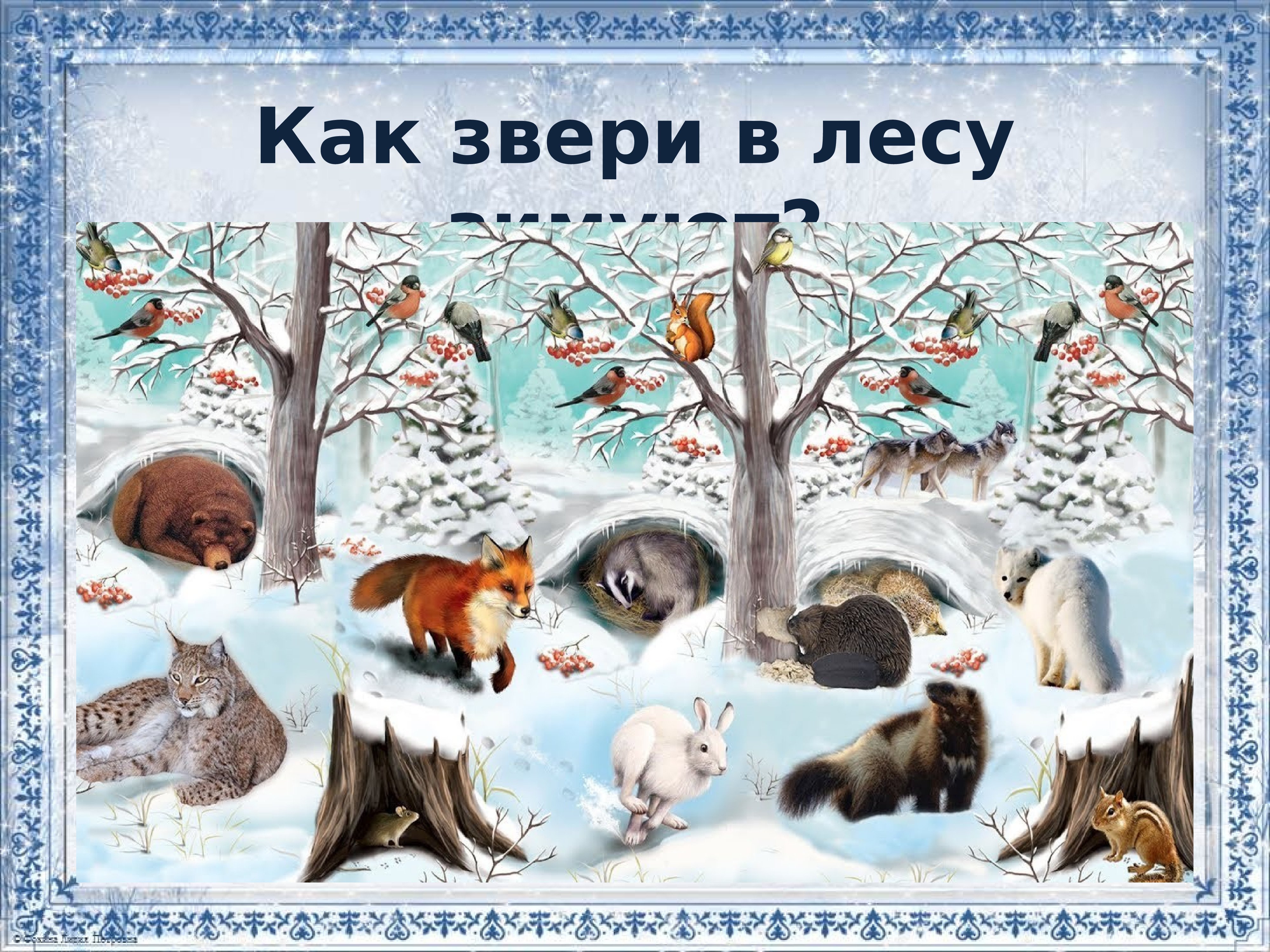 Животные И Птицы Зимой Картинки Для Детей