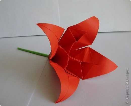 Оригами Аленький цветочек из бумаги
