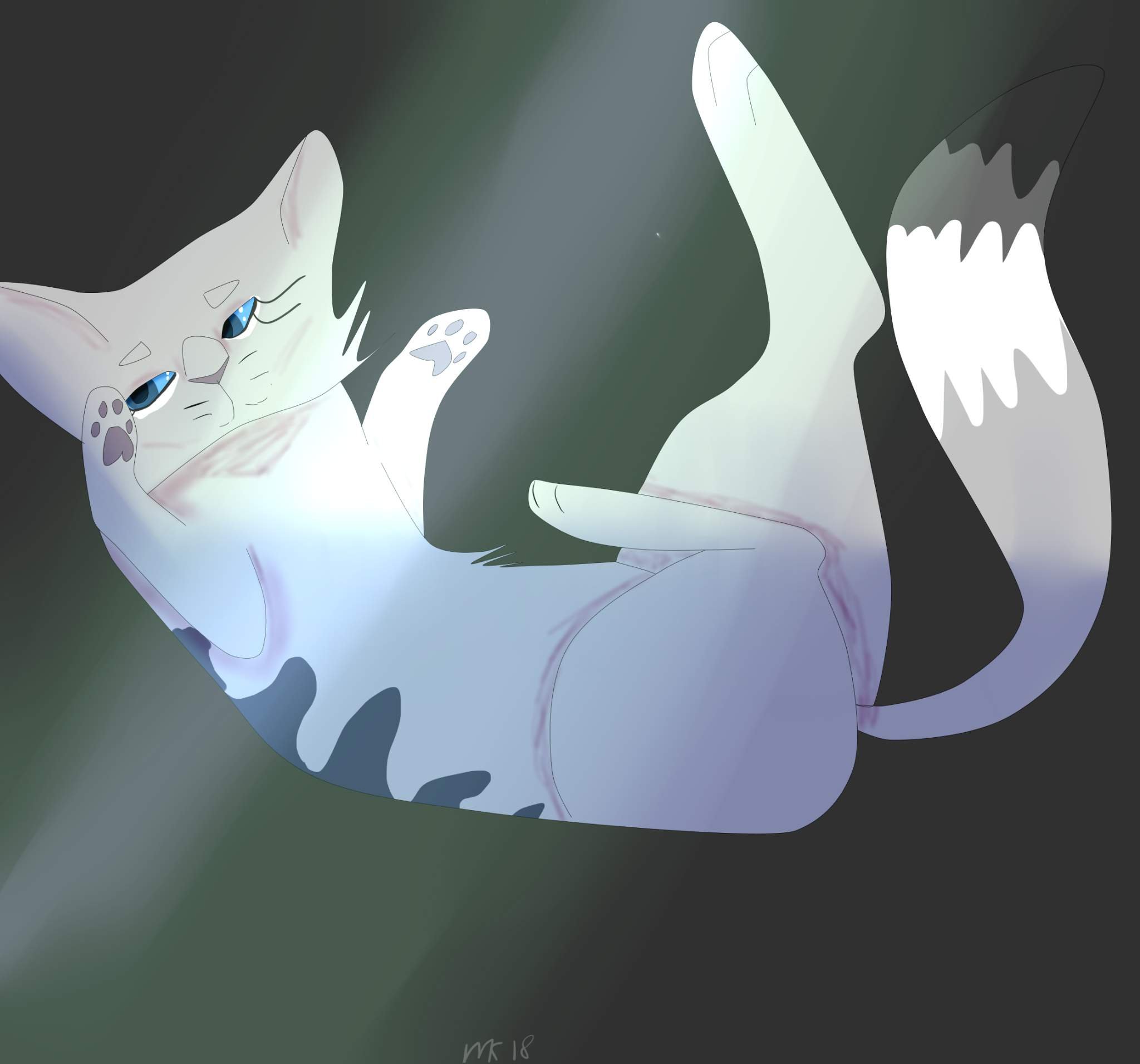 Коты воители