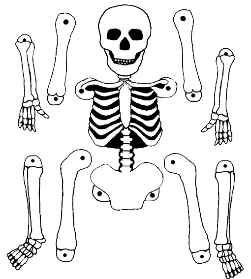 Скелет для вырезания