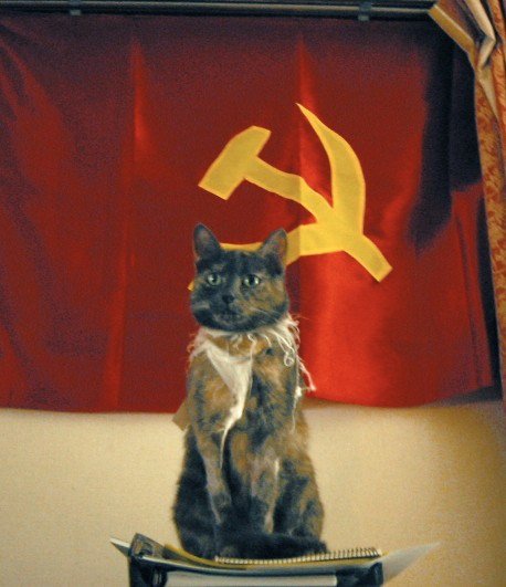 Революционный кот
