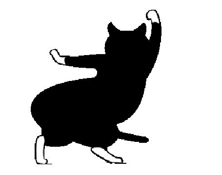 Кот танцует гиф