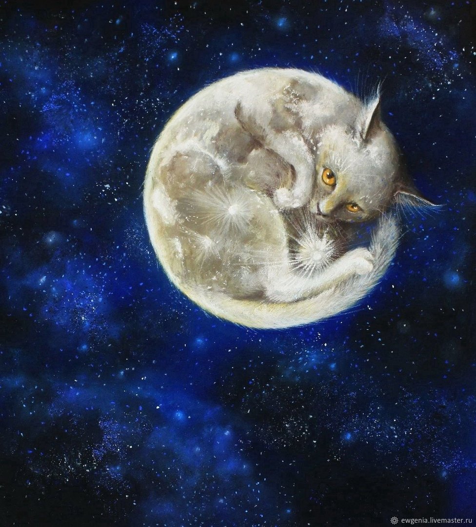 Лунные коты картинки
