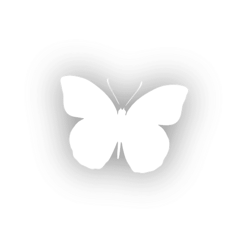Белые бабочки для печати