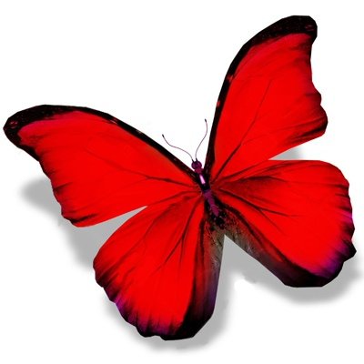 Бордовые бабочки для печати