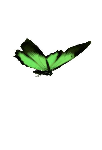 Бабочки анимация на прозрачном фоне