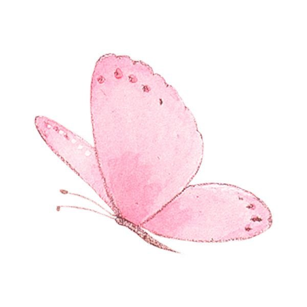 Акварельные бабочки розовые