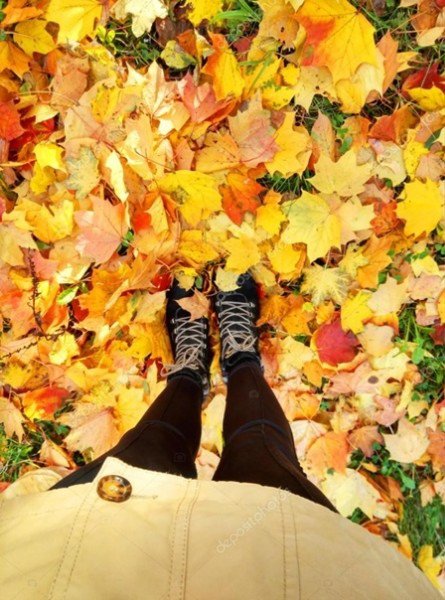 Ноги на фоне осенней листвы