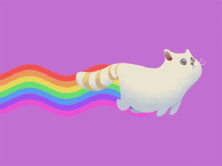 Котик на фоне радуги