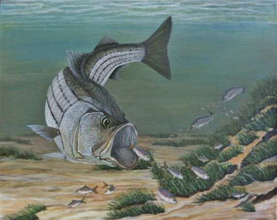 Виктор Астафьев царь-рыба иллюстрации