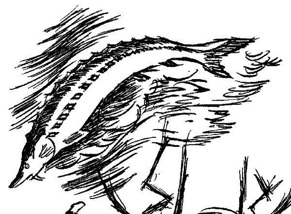 Царь-рыба Астафьев иллюстрации