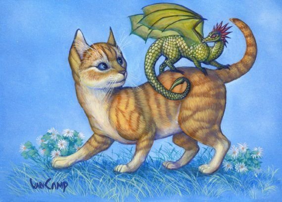 Кот дракон арт