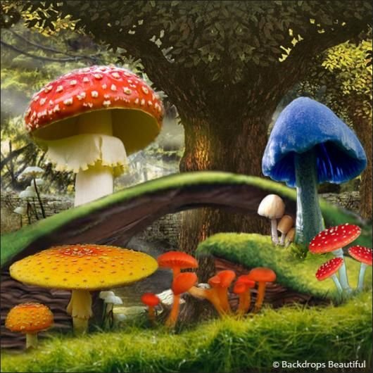 Сказочные грибы и цветы