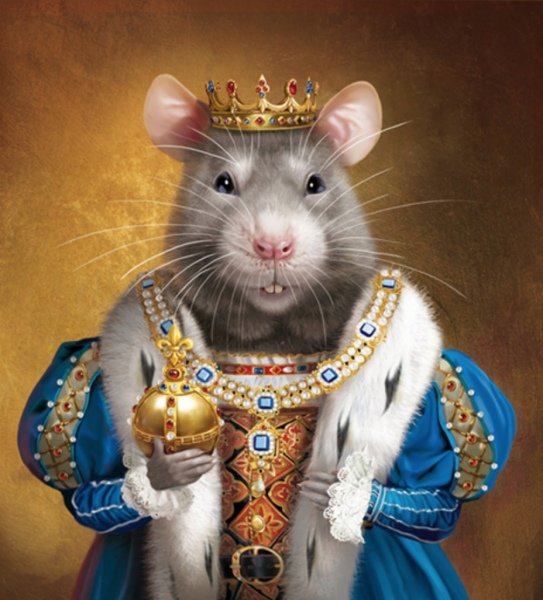 Мышиный Король фото