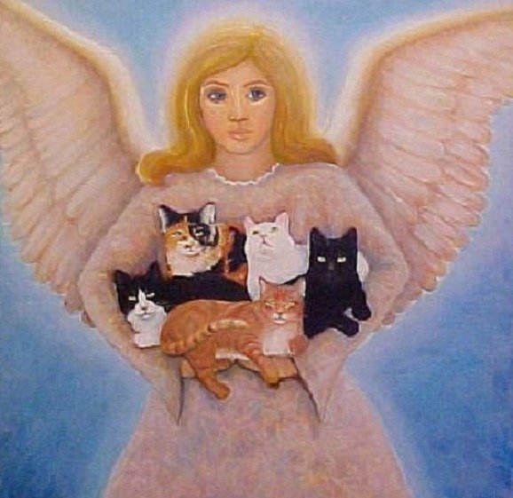 Кошка ангел хранитель