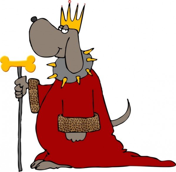 Царь псов
