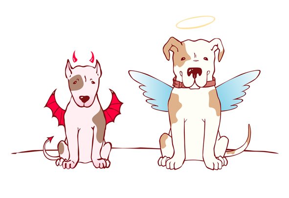 Собака демон и ангел