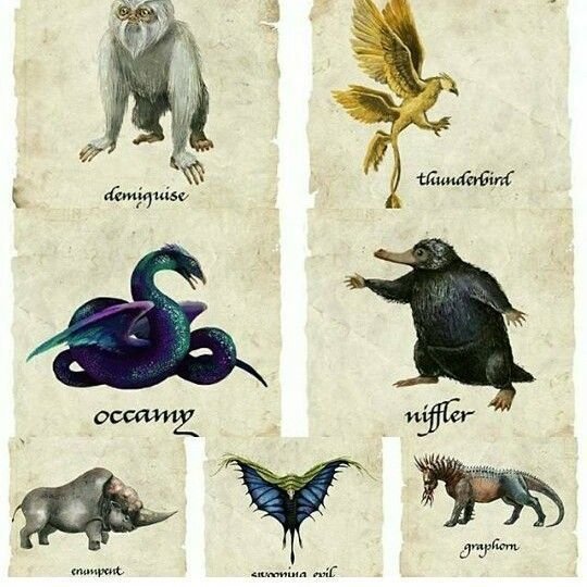 Рисунки волшебных существ из Гарри Поттера