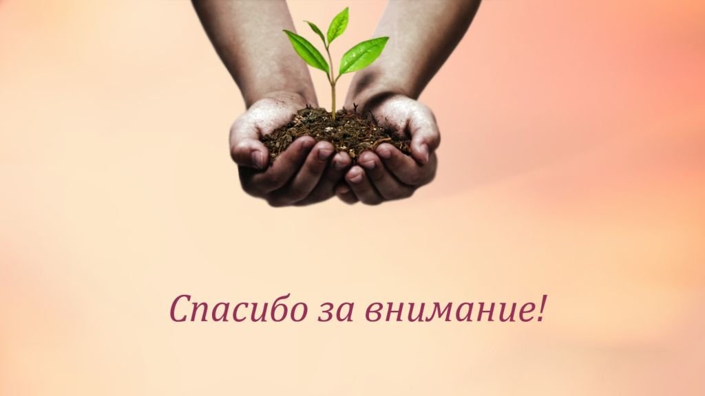 Спасибо за внимание экология