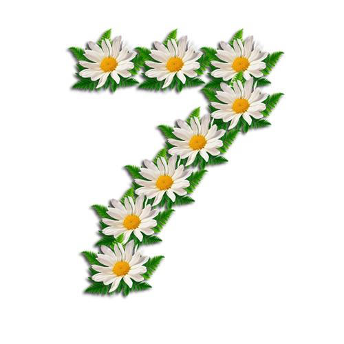 Цифры из цветов на белом фоне