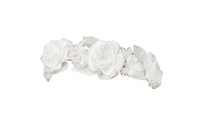 Белые цветы на прозрачном фоне