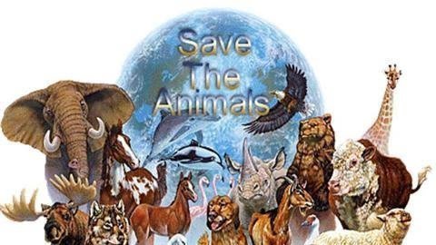 Всемирный день животных 4 октября