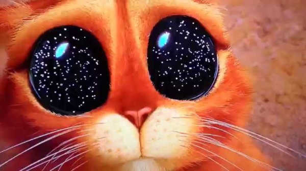 Кот в сапогах глаза космос