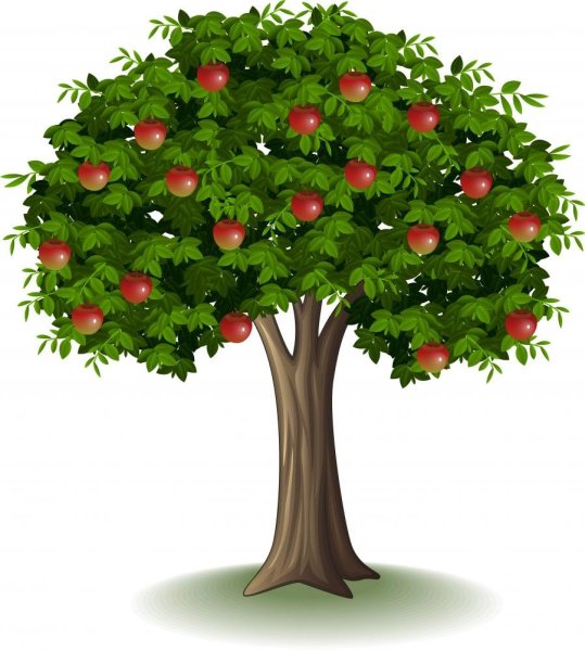 Яблоня дерево ПМГ