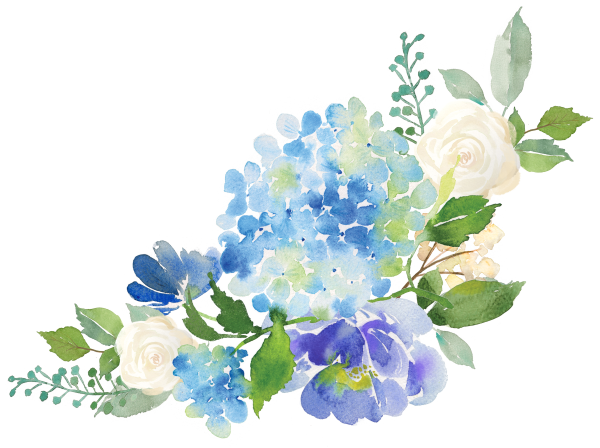 Акварельные цветы гортензия