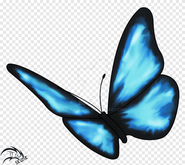 Голубая бабочка из Life is Strange