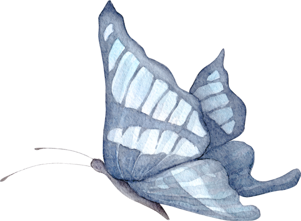 Бабочки серые на прозрачном фоне