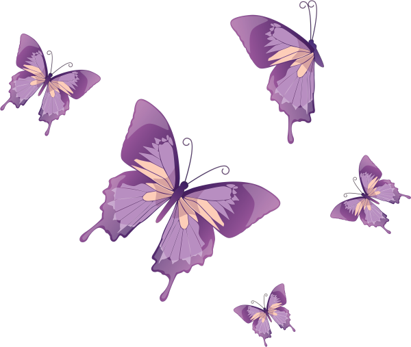 Бабочки на белом фоне