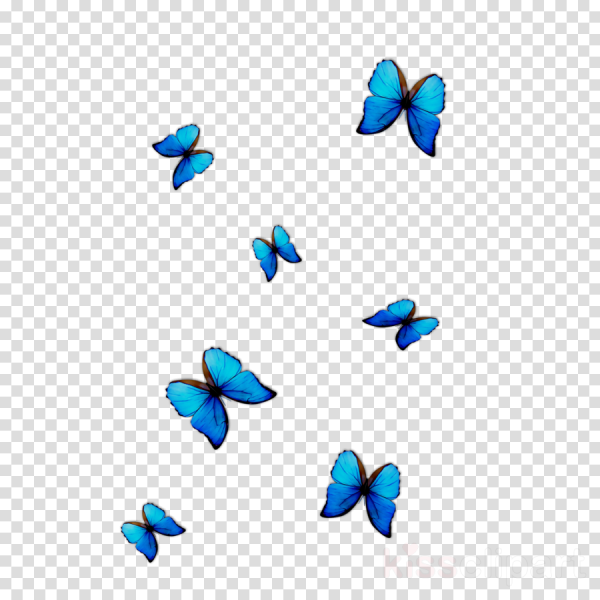 Голубая бабочка на прозрачном фоне