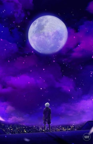 Лунный мальчик аниме