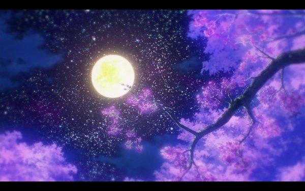 Сакура на фоне Луны