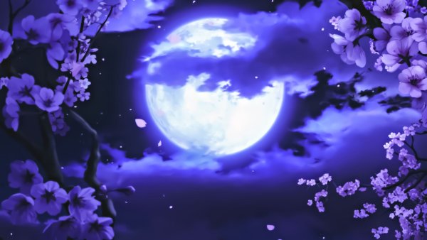 Луна и Сакура