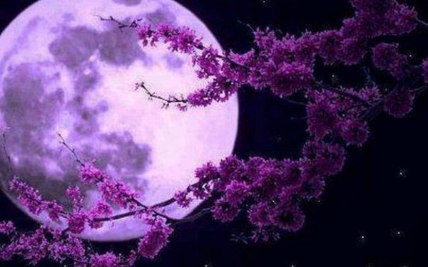 Аниме фон фиолетовый с луной