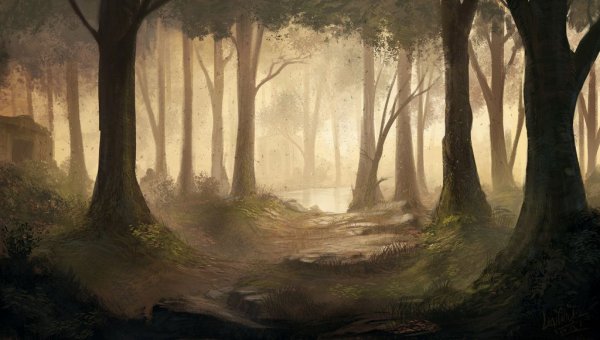 Сказочный мрачный лес