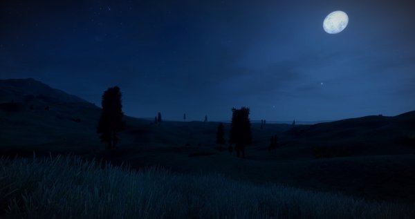 Ночное поле