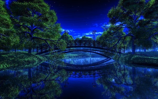 Озеро в парке ночью