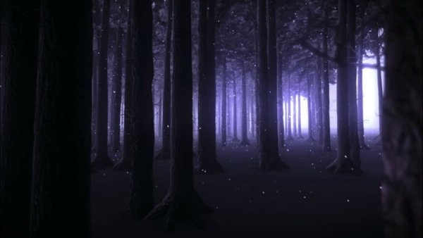 Ночной лес аниме