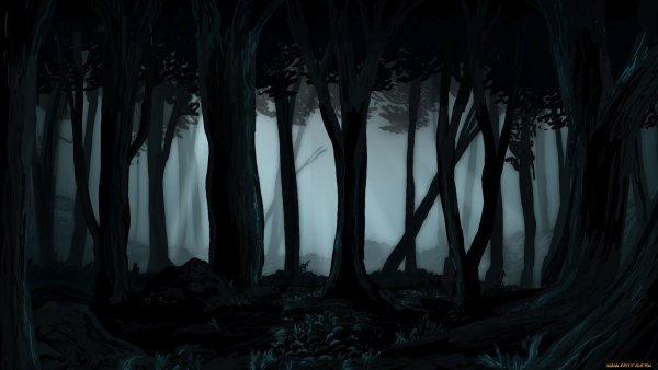 Темный лес аниме