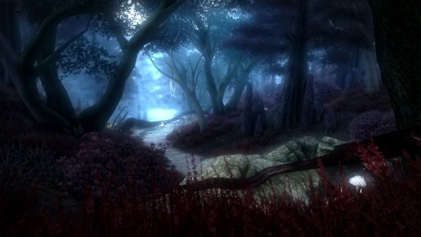 Лес тёмный и дремучий аниме